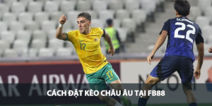 Cách đặt kèo Châu Âu tại FB88