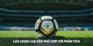Lựa chọn loại kèo phù hợp với phân tích
